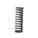 Rear Cage Spring